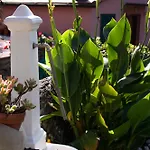 Vignola Bed and Breakfast Λεβάντο
