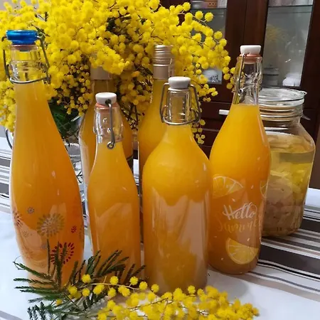 Vignola Oda ve Kahvaltı