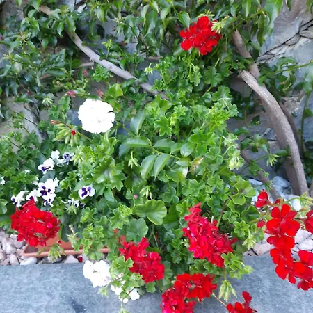 Vignola Bed & Breakfast Levanto