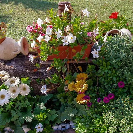 Bed & Breakfast Vignola Levanto
