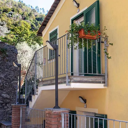 Vignola