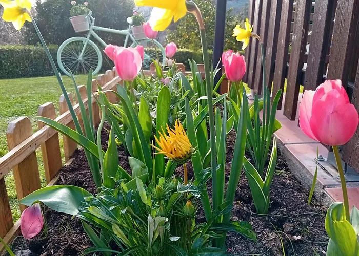 Vignola Couette-café 4*