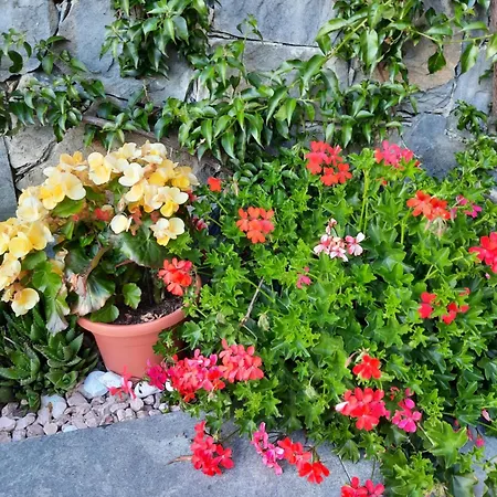 Vignola Bed & Breakfast