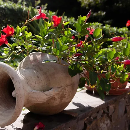 Bed & Breakfast Vignola Levanto