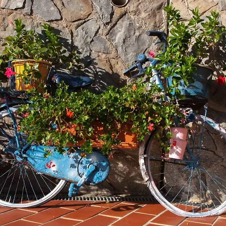 Vignola Bed & Breakfast 4*