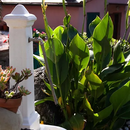 Vignola Bed & Breakfast Levanto