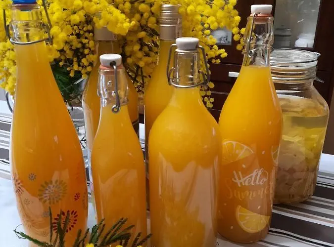 Vignola Отель типа 