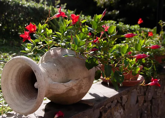 Bed & Breakfast Vignola Levanto