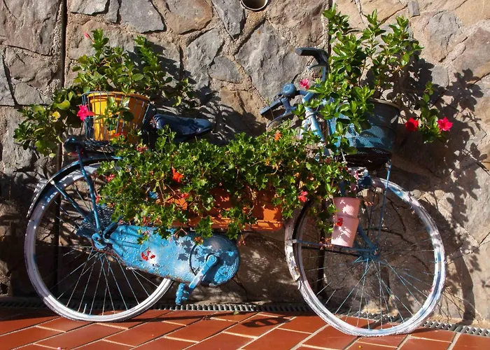 Vignola Bed & Breakfast 4*