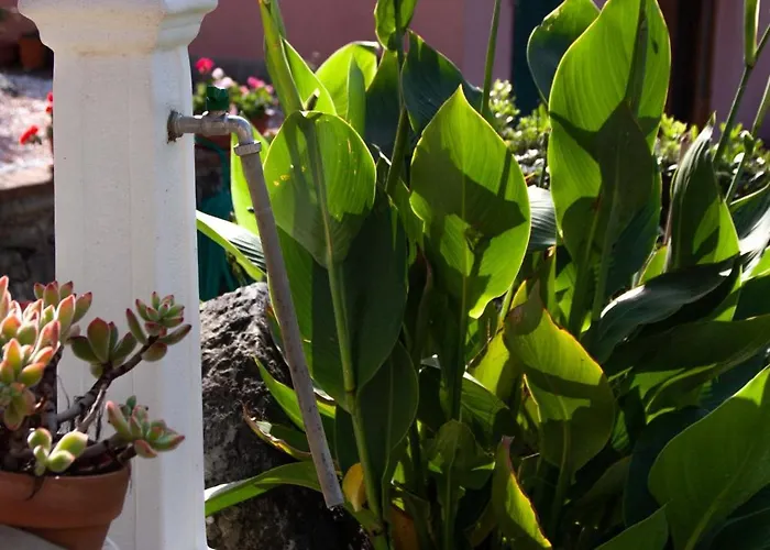 Vignola Bed & Breakfast Levanto