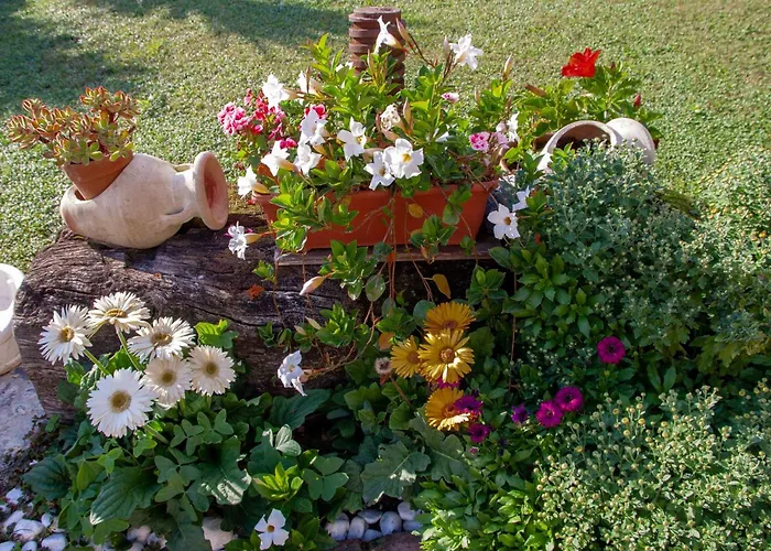 Bed & Breakfast Vignola Levanto